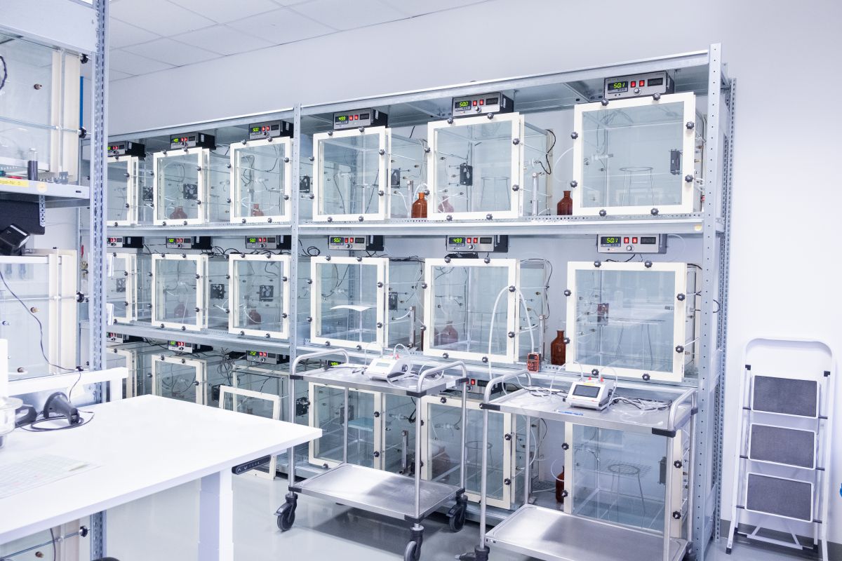 Für uns zählen die "Innen-Werte"