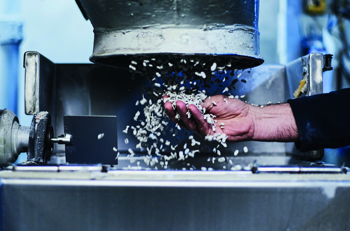 "Es muss weh tun – und alle müssen betroffen sein"