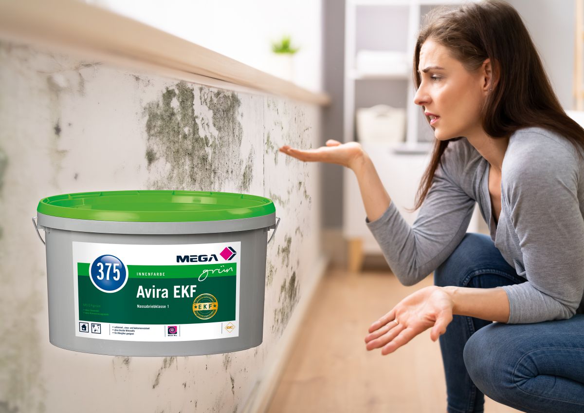 Schutz vor Schimmel, Bakterien und Viren 