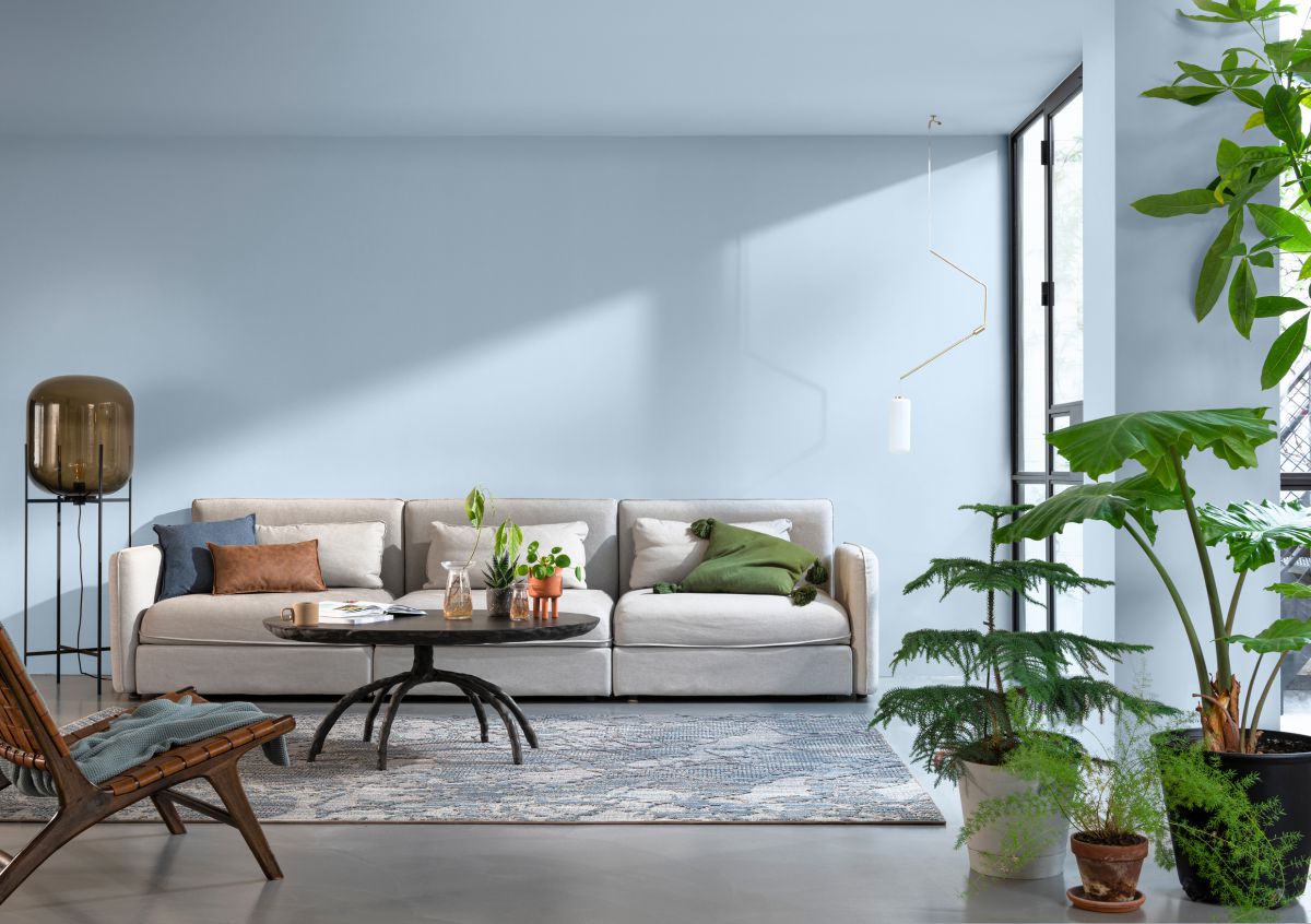 Alpha-Erfolgsstory läuft weiter