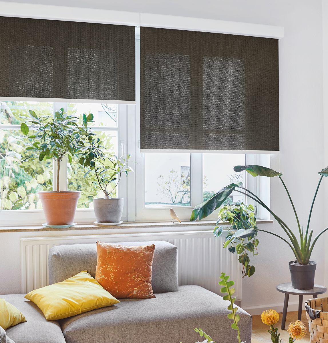 Die neue Rollo-Kollektion 