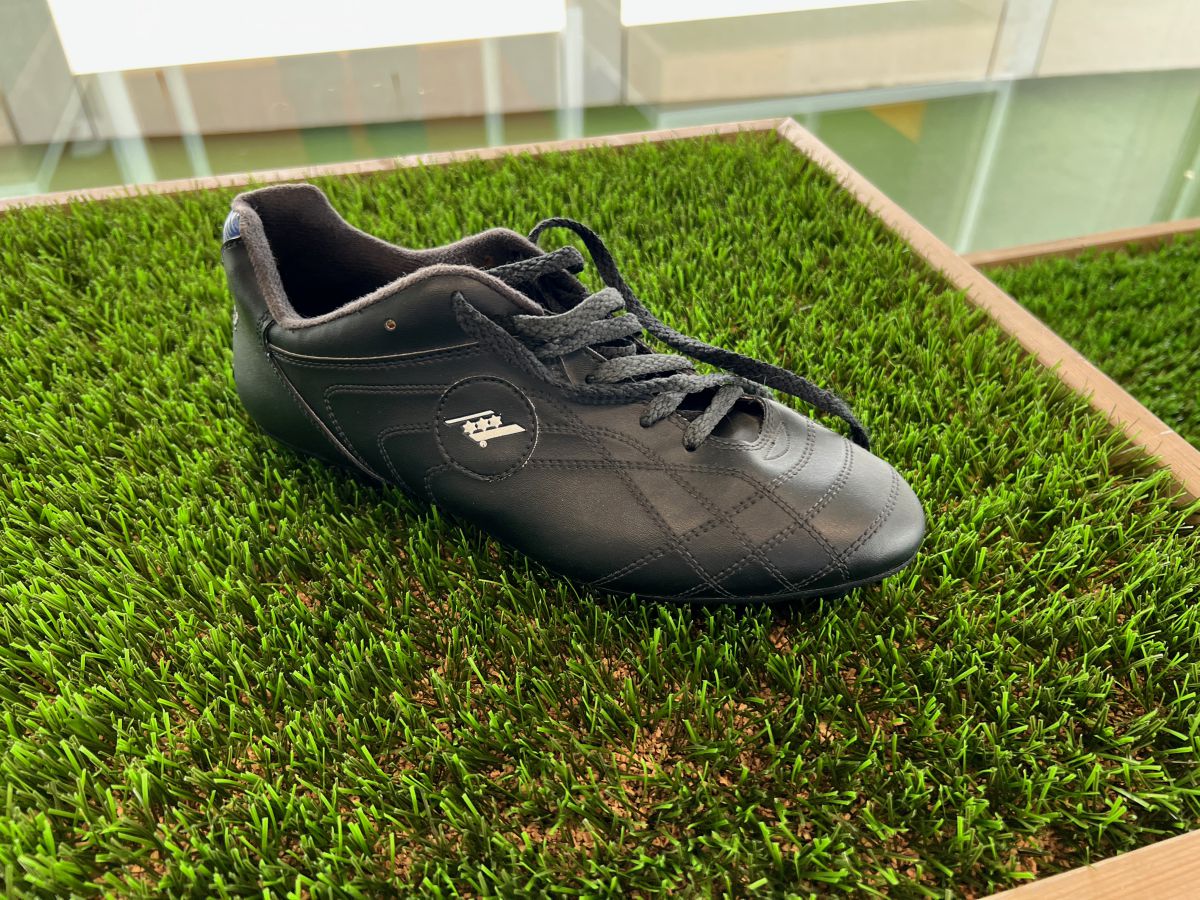 Kunstrasen-Vielfalt und unempfindliche Teppichböden