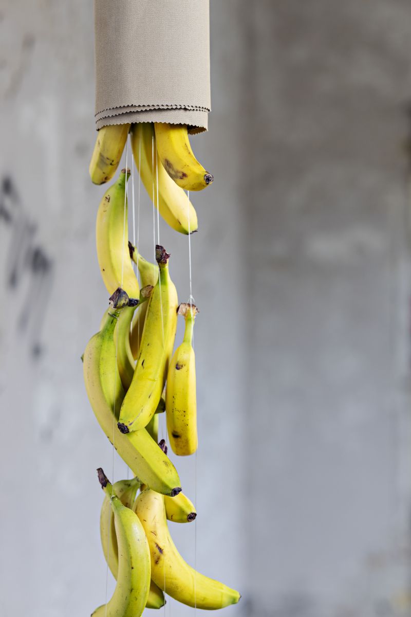 Plant-based<br><br>Die Fasern von Textilien auf Pflanzenbasis werden nicht synthetisch hergestellt. Damit sind sie für die Rückführung in Ökosysteme geeignet. Der Bereich der pflanzenbasierten Textilien lässt sich in zwei Bereiche unterteilen: Einerseits Textilien aus Pflanzenkulturen wie Kaktus und Hanf, resistent gegen Klimawandel und chemikalienarm angebaut. Andererseits Produkte aus pflanzlichen Nebenerzeugnissen wie Bananenschalen und Olivenresten.<br> New Sensitivity: Die Heimtextil Trends 24/25