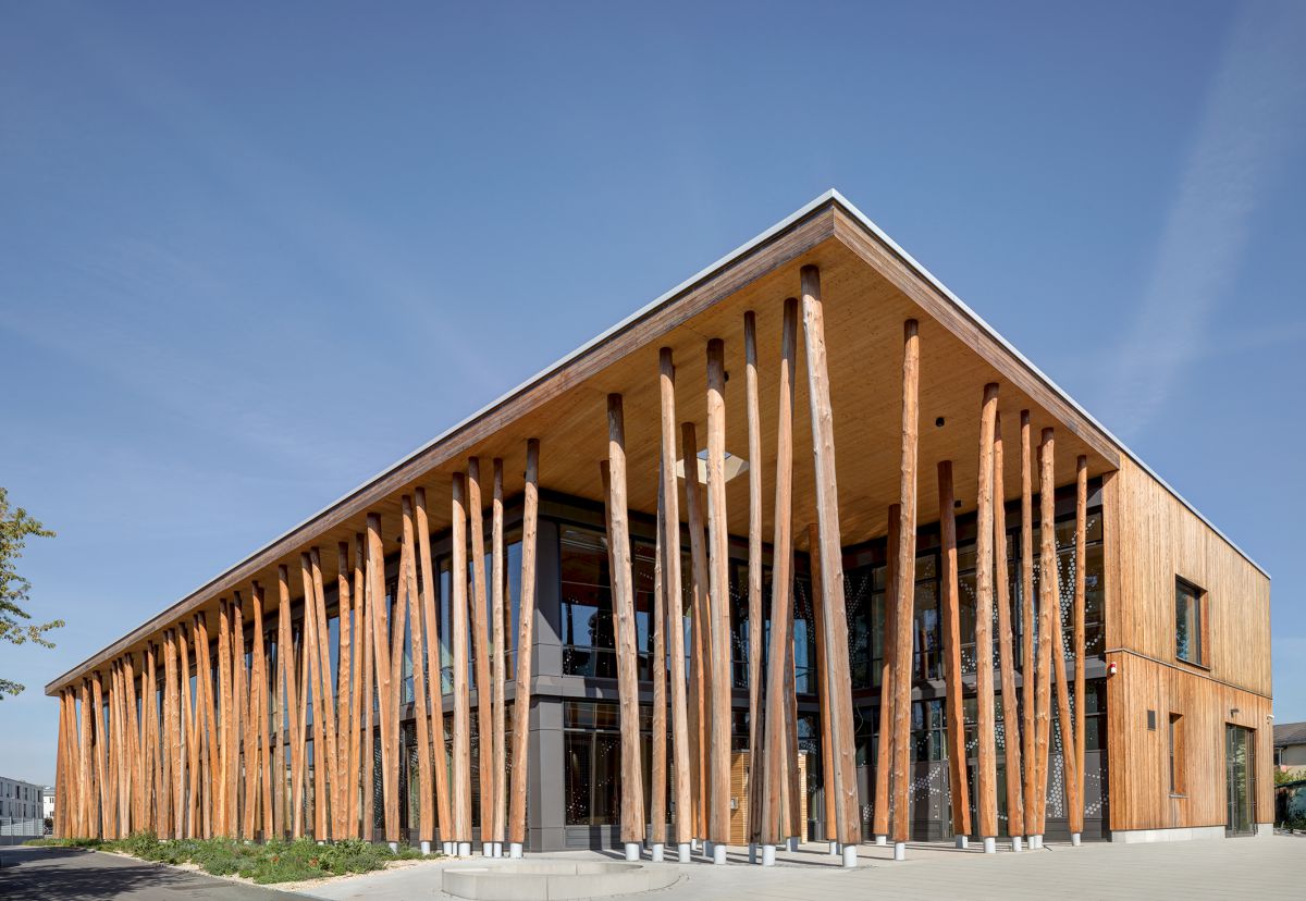 Nachwachsende Rohstoffe auf Kautschukböden