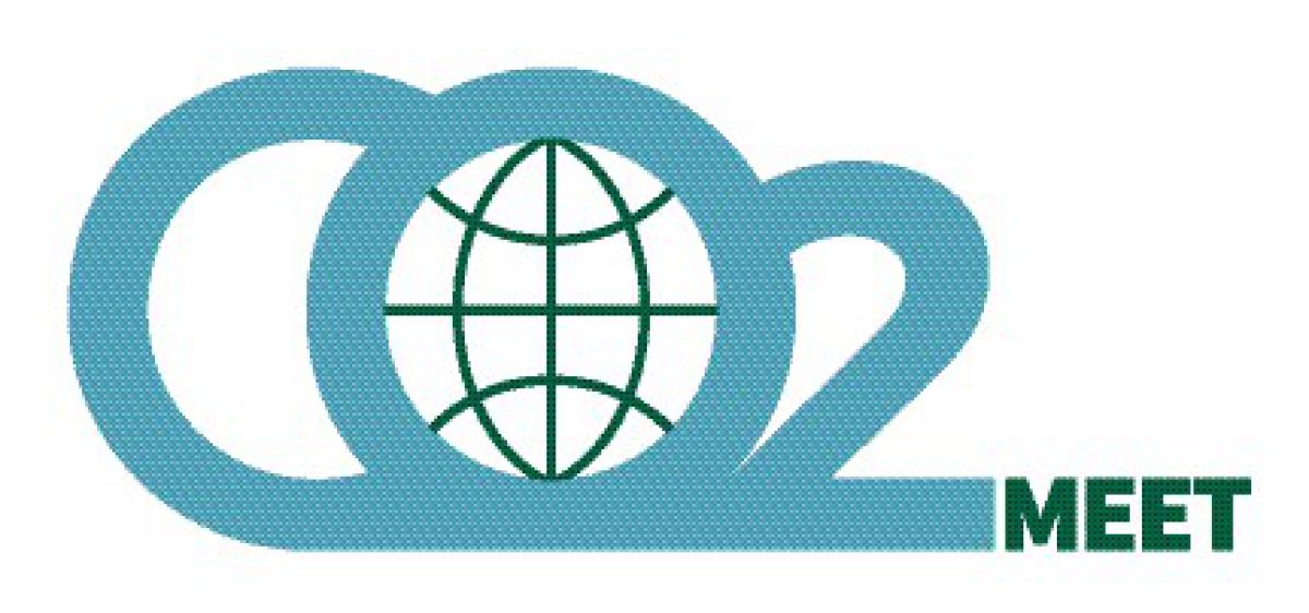 Klimafreundliche Alternativen zu Geschäftsreisen