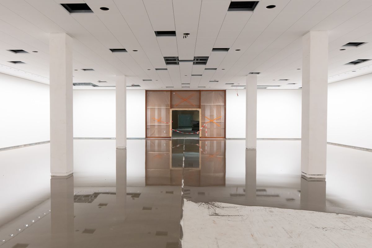 Ulmer zeigen nächstes Level ihrer Spachtelmassen