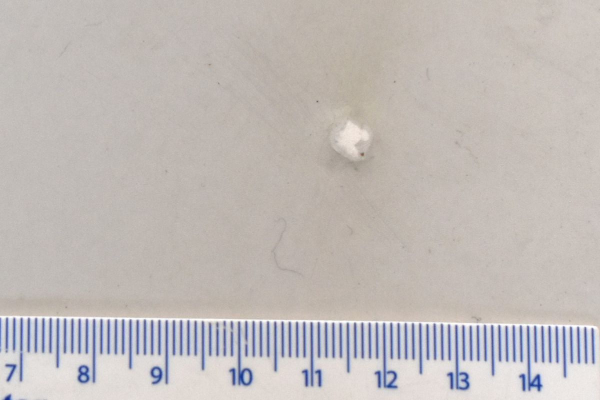 Mineralischer Spachtelbelag zeigt optische Mängel