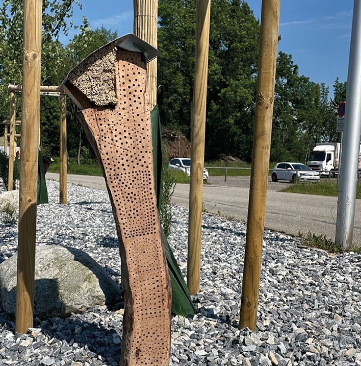 Ein Projekt, das immer weiterläuft