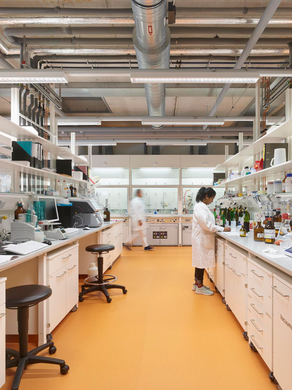 Weinbauexperten lernen auf Enomer-Belag