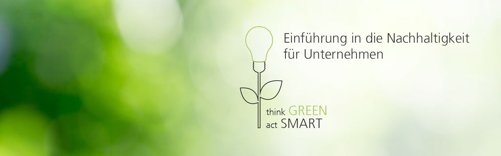 Weiterbildung: "Einführung in die Nachhaltigkeit für Unternehmen"