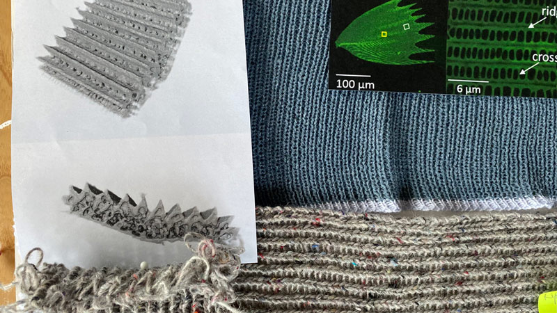 Kateryna Basiuk, <br>Hochschule Luzern, Schweiz<hr>Silent Canvas<br><br>Kateryna Basiuk untersucht in ihrem Projekt Silent Canvas, wie recycelte Garne für zirkuläre Schalldämpfer eingesetzt und dabei gleichzeitig deren ästhetische und visuelle Eigenschaften verbessert werden können. Inspirieren lässt sie sich dafür von den schallabsorbierenden Mikrostrukturen von Mottenflügeln. Ihre Schlüsseltechnik, um die natürlichen Strukturen in recycelten Materialien nachzubilden, ist das Stricken. Das Projekt befasst sich mit dem Sustainable Development Goal 12.5 der Vereinten Nationen: Verringerung der Abfallerzeugung durch Wiederverwendung.<br><br>Kateryna Basiuk: "Silent Canvas erforscht die Beziehung zwischen Ästhetik und Akustik durch biomorphes Design und recycelte Materialien. Inspiriert von der Struktur eines Mottenflügels und getragen von persönlichem Engagement für nachhaltige Designlösungen, hinterfrage ich traditionelle Ansätze und setze auf neue, zirkuläre Prozesse. Meine Reise begann mit einem Bachelorprojekt an der Hochschule Luzern – Design Film Kunst in Zusammenarbeit mit der Forschungsgruppe Produkt & Textil und führt mich seither tiefer in das Forschungsfeld nachhaltiger Textilien." Heimtextil fördert kreative Nachwuchstalente
