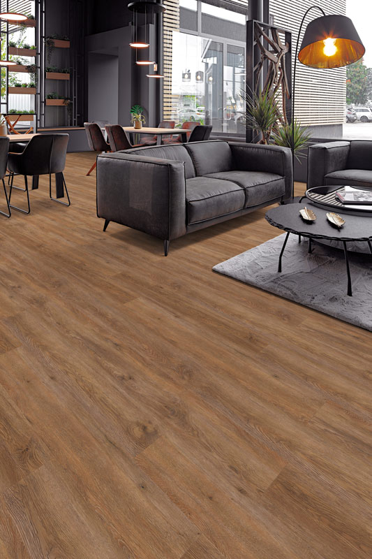 Neue Kollektion ab Februar 2025 