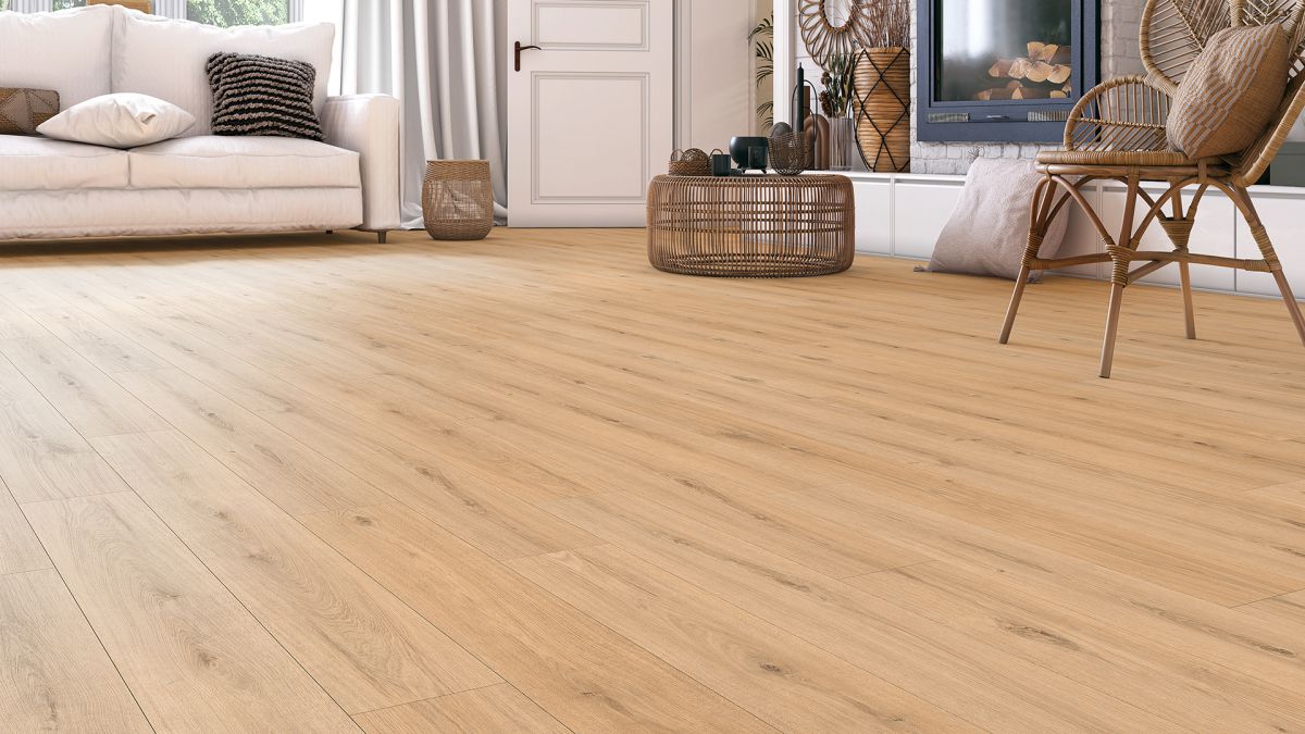 Neue Produkte bei den FFD 